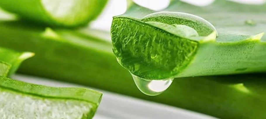 Benefits of Aloe Vera Aloe Vera for facial skin