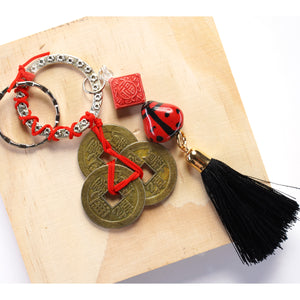 Luck and Money Keychains